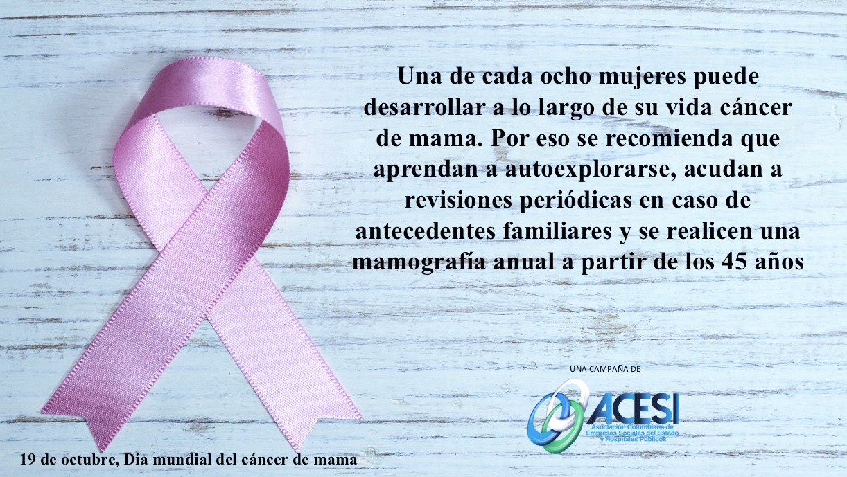 Hoy, Día Mundial contra el cáncer de mama