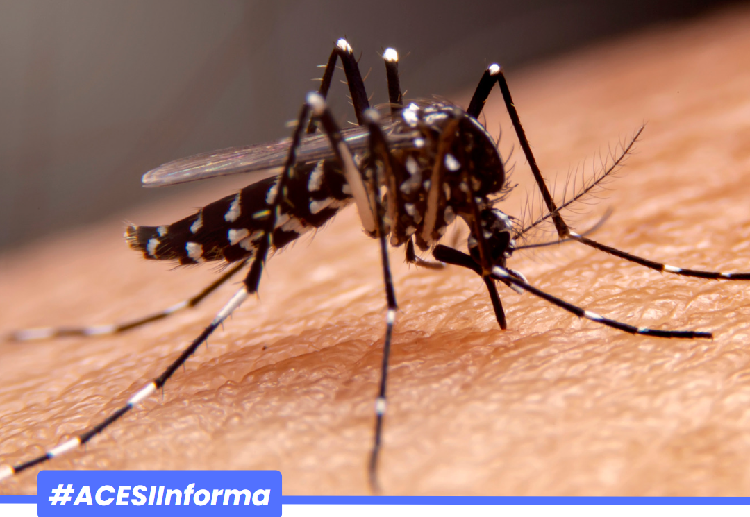 En Colombia hay 720 municipios en riesgo por la malaria: MinSalud.